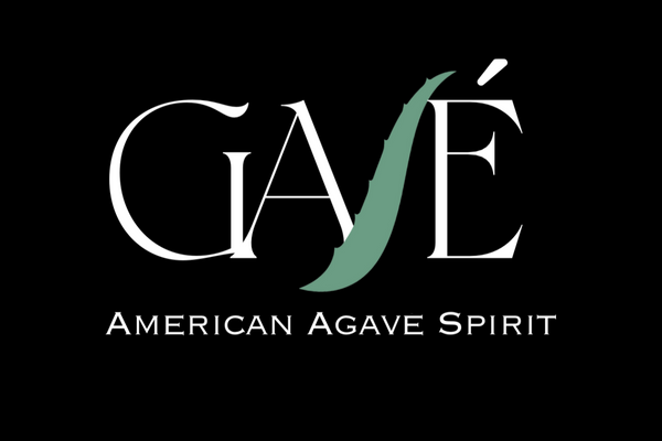Gavé Spirit